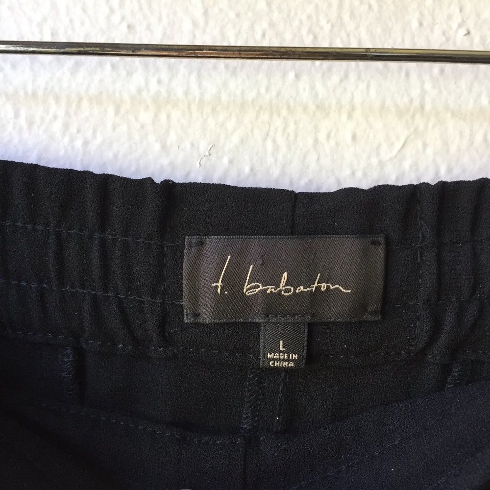 Aritzia T. Babaton Black Pants - Picture 5 of 12